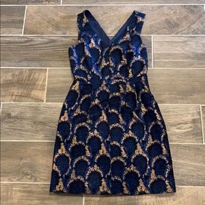 J Crew Dress